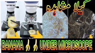 microscope  banana under microscope [upl. by Aiciled]