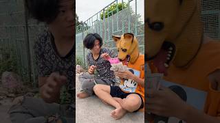 kind and brave puppy trending viralvideo dog shortsvideo [upl. by Carder]