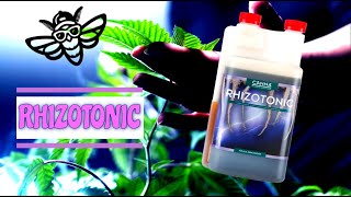 Canna Rhizotonic 🌴 Erklärt 🌷 [upl. by Kyred]