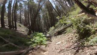 Crankcase UC Santa Cruz Mountain Biking chasing Eric [upl. by Trstram]