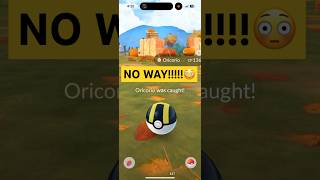 Shiny Oricorio Full Odds No Waypokemon pokemongo shinypokemon shorts [upl. by Caro665]