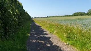 Near Roundstone Farm [upl. by Cad424]