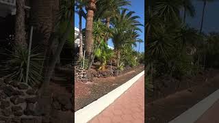 Tenerife Golf del sur Amarilla golf tenerife goodtimes holiday happy pov golfdelsur walking [upl. by Godwin]