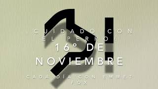 ¡CUIDADO CON EL PERRO 16 de noviembre CADA DÍA CON EMMET FOX [upl. by Arst]