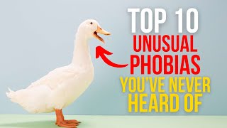 TOP 10 UNUSUAL PHOBIAS YOUVE NEVER HEARD OF [upl. by Alema]