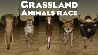 Grassland Animals Category Speed Race in Early Morning in Planet Zoo included Rhino Cheetah amp etc [upl. by Ocirema]