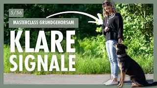 Akustische amp Visuelle Signale Im HUNDETRAINING  So Kommunizierst Du Klar Mit Deinem Hund – Tag 5 [upl. by Stephanie861]