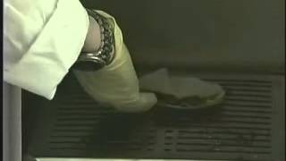 Filter Paper in Oven hi [upl. by Alegre553]