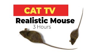 CAT GAMES  Realistic Mouse HD  3 HOURS Video for Cats amp Dogs to watch [upl. by Ma]