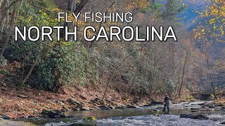 Euro Nymphing for Lots of Trout on the Nantahala River  Fly Fishing North Carolina [upl. by Alika]