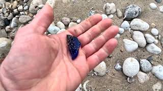 EXTREME Rock and Beach Glass Hunt Western Shore of Lake Michigan [upl. by Aicenek475]