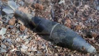 Unexploded Ordnance UXO 3R Training [upl. by Alel]