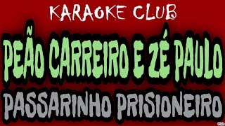 PEÃO CARREIRO E ZÉ PAULO  PASSARINHO PRISIONEIRO  KARAOKÊ [upl. by Izawa407]