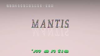 mantis  pronunciation  Examples in sentences and phrases [upl. by Ecirtemed]