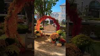 falldecor fall2024 charlottenc blakeney [upl. by Tenaj]