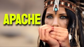 APACHE HARMONICA  C DIATONIC  ARMÓNICA C TABS BLUES HARP C GAITA DE BOCA C MUNDHARMONIKA C [upl. by Nanreh]