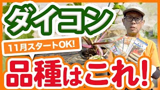 家庭菜園や農園で11月からスタートできる大根の品種はこれ！品種の選び方とおすすめ品種のご紹介！11月の種まきや栽培のポイントを徹底解説！【農園ライフ】 [upl. by Lexy261]