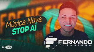 FERNANDO PISADINHA  MÚSICAS NOVAS 2K24 [upl. by Ozneral]