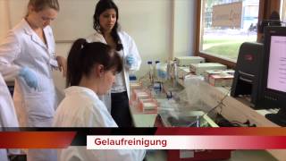 Gentechnik – was steckt dahinter [upl. by Tare]