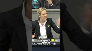 Alice Weidel Steuergelder oder Parteispenden Die Heuchelei der Politik [upl. by Hsina]