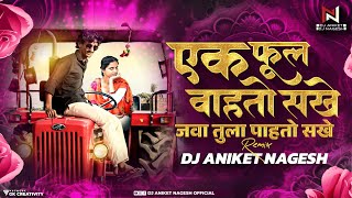 Ek Phool Vahato Sakhe  Chillout Mix   तु मळा अंगुराचा मी लाकडी भुसा गं  Dj Aniket amp Nagesh [upl. by Traggat584]