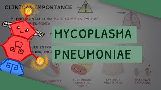 Mycoplasma Pneumoniae [upl. by Clerissa]