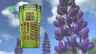 Million Dollar Loteria [upl. by Klump]