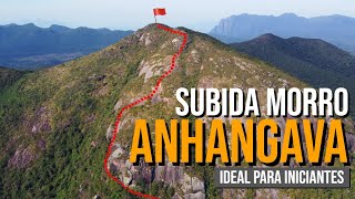 SUBIDA DO MORRO ANHANGAVA  Trilha Ideal Para Iniciantes no Montanhismo [upl. by Naihs]