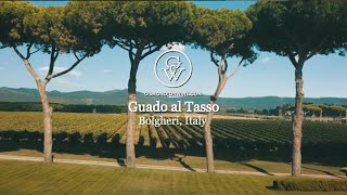 Guado al Tasso Bolgheri [upl. by Laekcim]