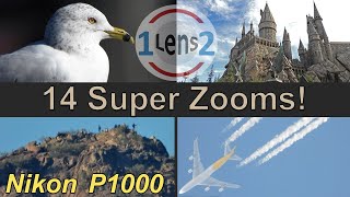 Variety of Nikon COOLPIX P1000 Zoom Tests EP 1 [upl. by Keefe]