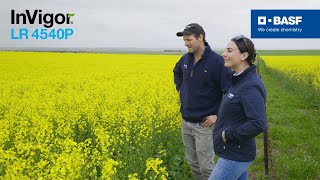 InVigor LR 4540P Grower experience  Scott Walker Quairading WA [upl. by Kauslick448]