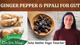 Ginger Peper amp Pippali for Gut Health [upl. by Griz]