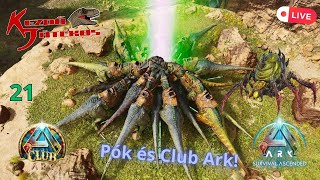 Ark Survival Ascended 21rész  Broodmother és Club Ark Menjünk VERSENYEZNI  KezdőLive [upl. by Ahsienak]