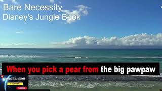 Bare Necessities From Disneys Jungle Book karaoke version [upl. by Ahsiral]