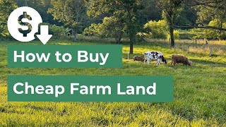 How to Buy Cheap Farm Land Grants Seller Financing amp Getting More with Less [upl. by Rici156]