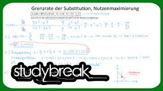 Grenzrate der Substitution Nutzenmaximierung  Mikroökonomie [upl. by Refinnaej]