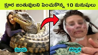 People Who Accidentally Adopted Wild Animals  Dangerous Animals Kept As Pets  snake videos [upl. by Bohrer828]