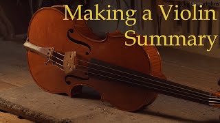 Making a Violin  ALL THE STEPS  Amati Model [upl. by Venator467]