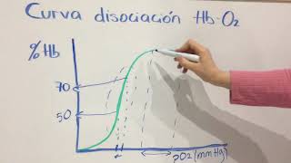 Curva hemoglobina y efecto Bohr [upl. by Eiddal584]