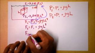 Buoyancy  Why and How Stuff Floats  Doc Physics [upl. by Nerro55]