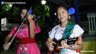 Así bailan y tocan huapango los jóvenes veracruzanos Temple Huasteco y Flor de Madera [upl. by Yaras630]