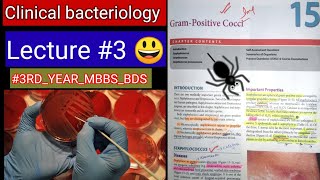 Gram Positive Cocci 🛑🛑 specialbacteriology LECTURE 3 Streptococcus staphalococcus bacteria [upl. by Aylward]