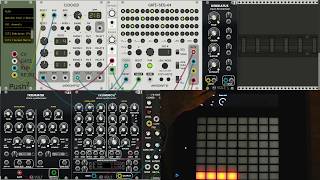 Ableton Push 2 module for VCV Rack [upl. by Hulbard551]