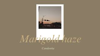 Candentia  Marigold haze Lyrics [upl. by Abdel]