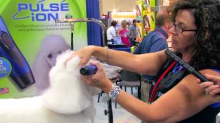 Diane Betelak Demo on Grooming a Poodles Face [upl. by Imugem]