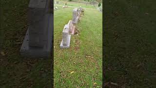 Do grave yard ghosts really exist We shall find out using scientific means [upl. by Rafter]