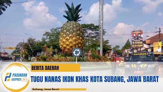 Mengapa NANAS Ikon Kota Subang [upl. by Artenehs514]