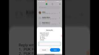 How To Know Your Airtel PUK Code ytshorts [upl. by Trask]