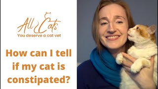 How can I tell if my cat is constipated [upl. by Mairb]