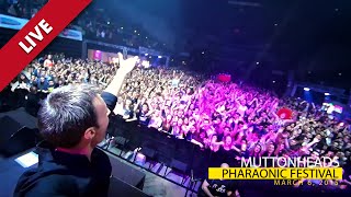 Muttonheads  Pharaonic Festival  March 6 2015 HD [upl. by Eirrem]